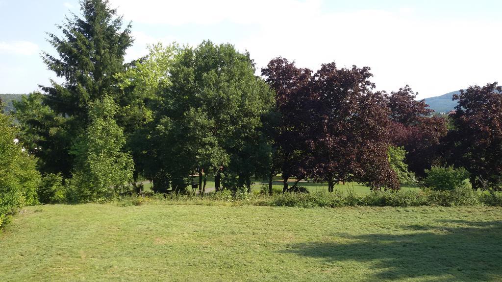 Hotel Schlossgarten Gladenbach Dış mekan fotoğraf